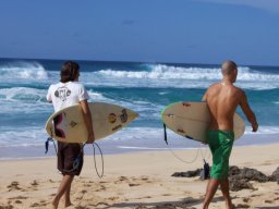 Surfers